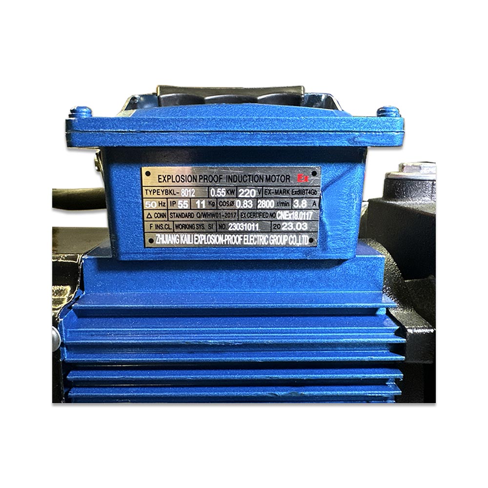 слайдер изображения Электрический насос для топливаЭлектрический насос для топлива (Насос 220V бензин)